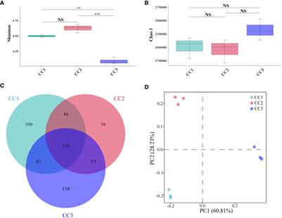 Integrated metagenomics and metabolomics analysis reveals changes in the microbiome and metabolites in the rhizosphere soil of Fritillaria unibracteata